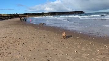 Strandtücher