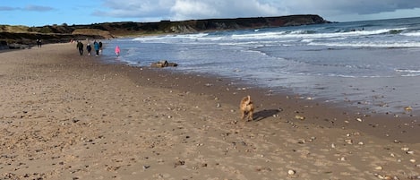 Teli da spiaggia