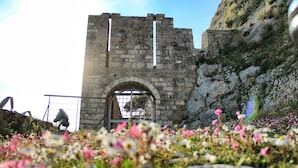 Una estructura de piedra con una entrada en arco, rodeada por un terreno montañoso y plantas con flores.