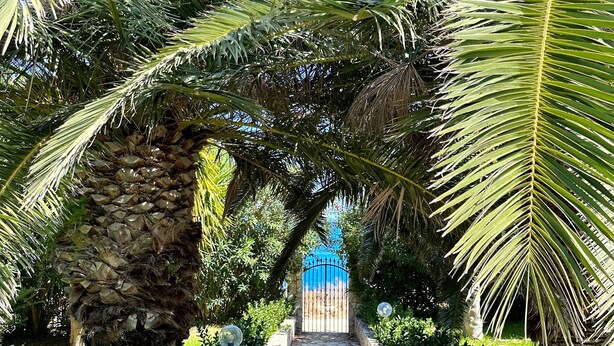 Un sentiero in pietra conduce a un cancello blu, circondato da vegetazione rigogliosa e palme.