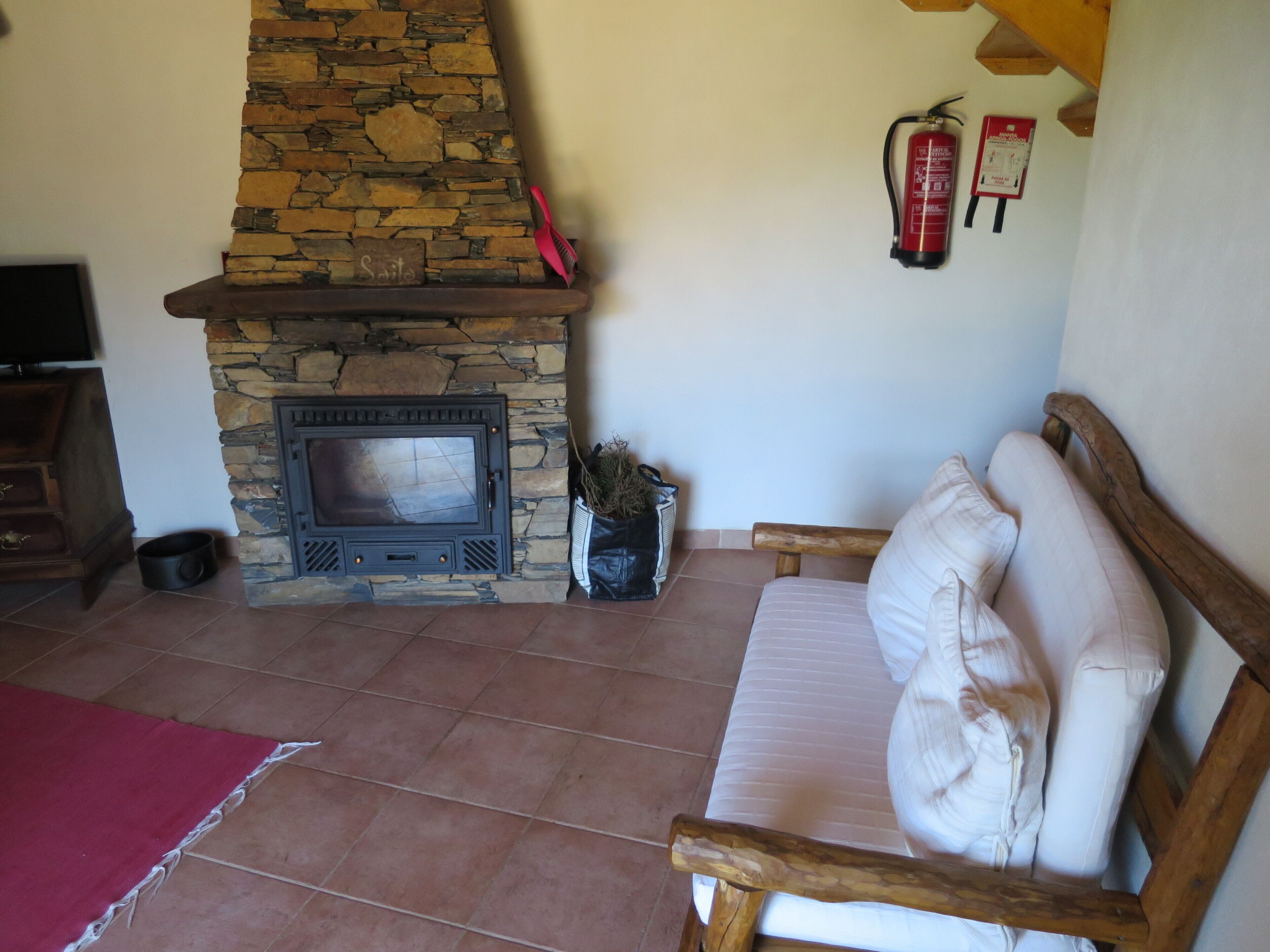 TV, fireplace, books