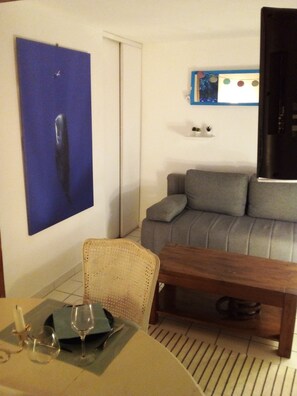 TV, books, stereo - house in swimming pool and tennis court (meze)