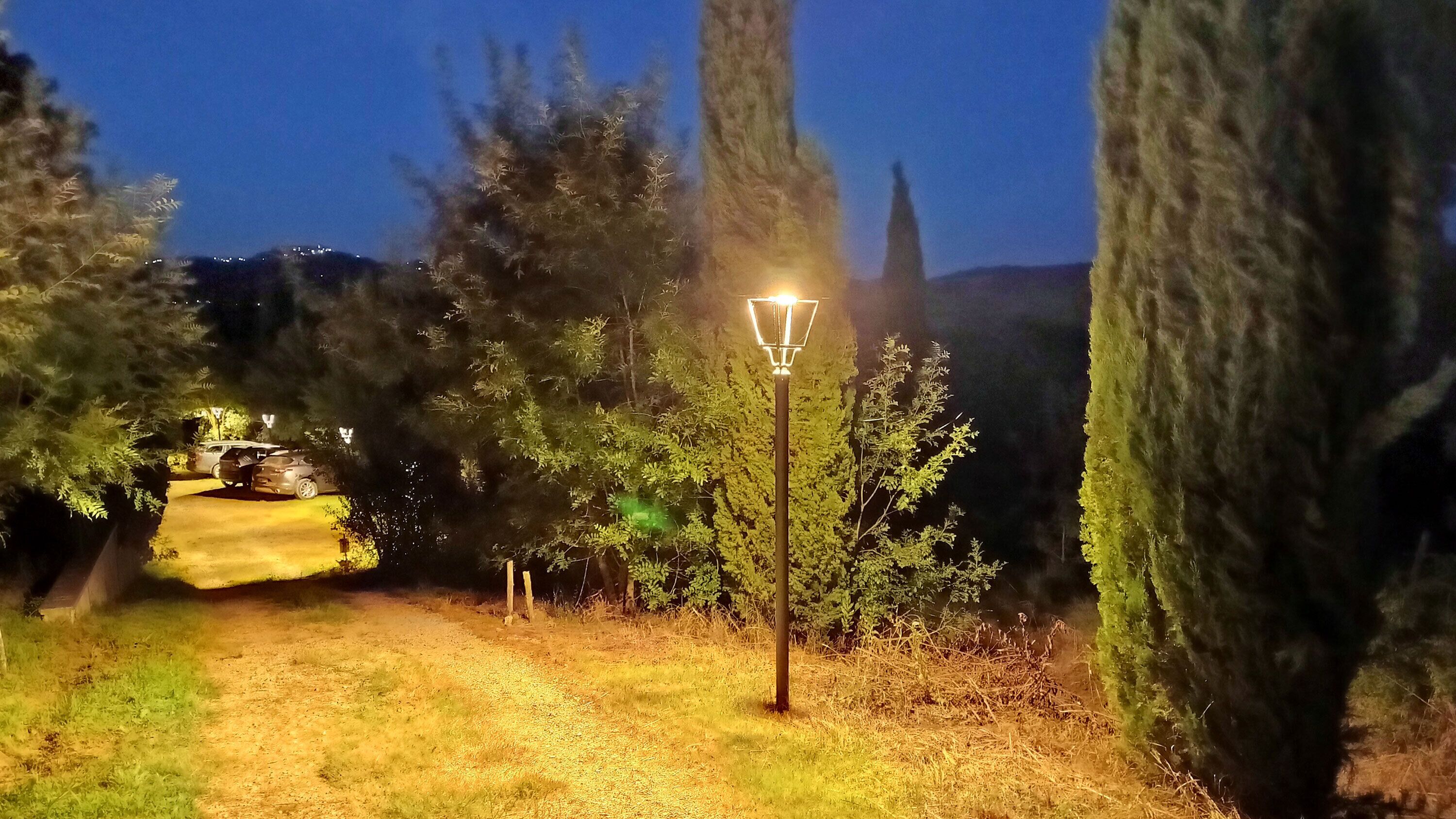Un espace extérieur bien éclairé, avec un lampadaire, un chemin pavé et une végétation environnante.