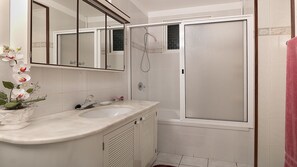 Combined shower/tub, hair dryer, bidet, towels