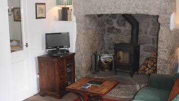 Smart TV, fireplace, DVD player, books
