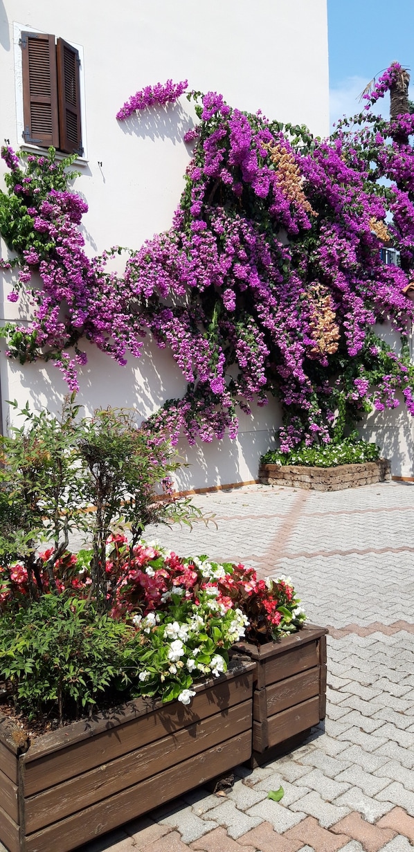 A building with a white exterior, wooden shutters, and a wooden planter box with flowers.