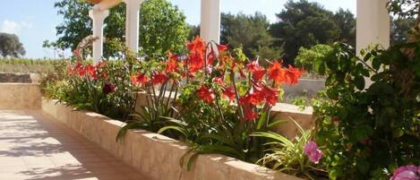 المنطقة المحيطة بالمنشأة