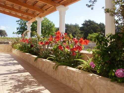 San Francisco: traditional farmhouse-san francisco