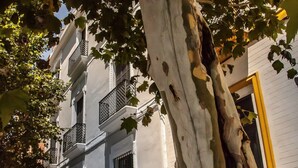 A tree-lined street with a building featuring a balcony and a yellow door. - Ale Maison Deluxe and exclusive apartment in the best center of Seville. parking (Sevilla)