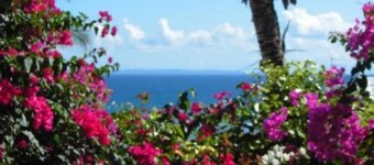 Apartment/ flat - SAINT FRANCOIS