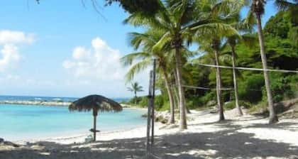 Apartment/ flat - SAINT FRANCOIS