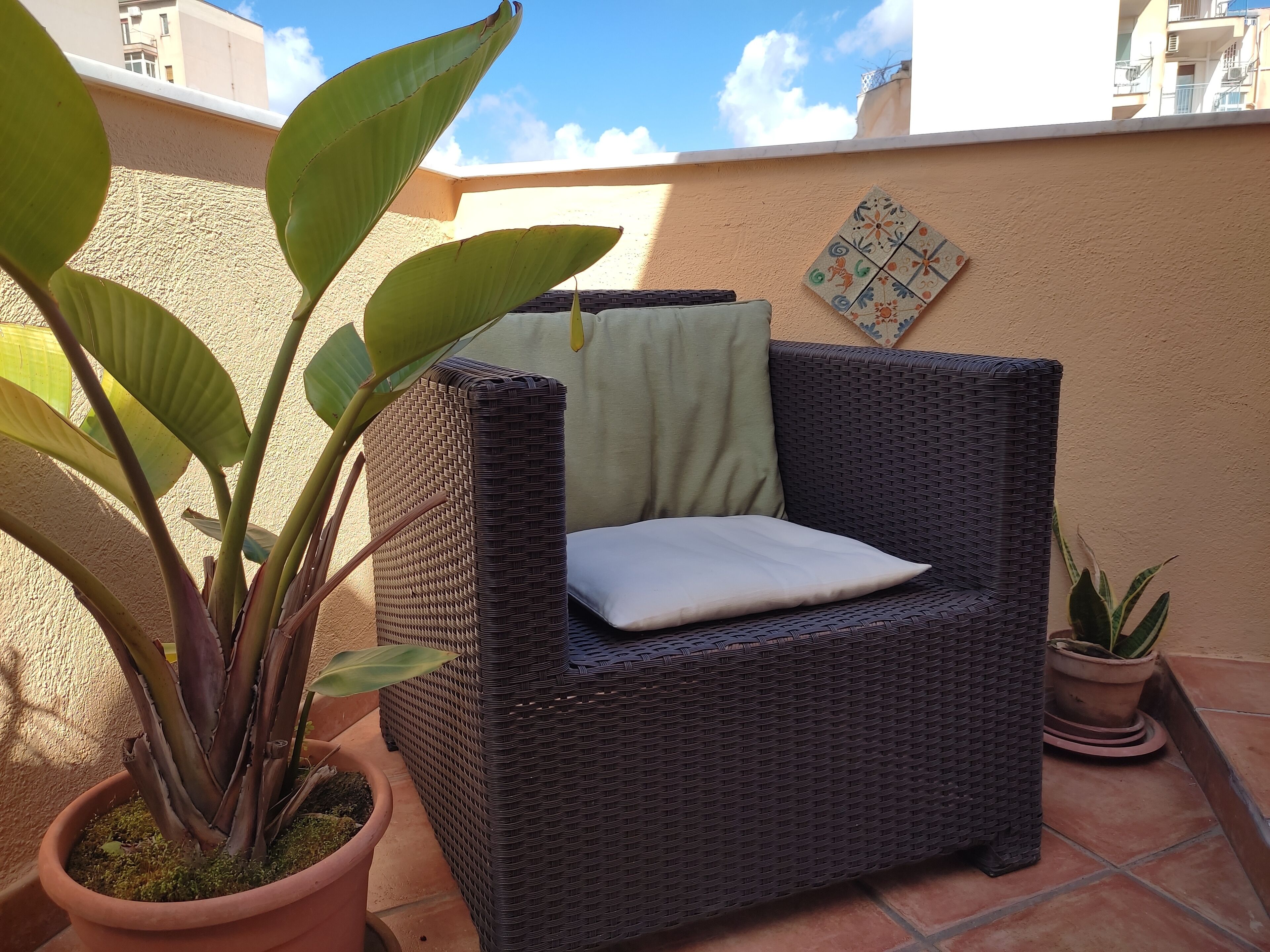 A wicker chair with a cushion, a potted plant, and a tiled patio area.