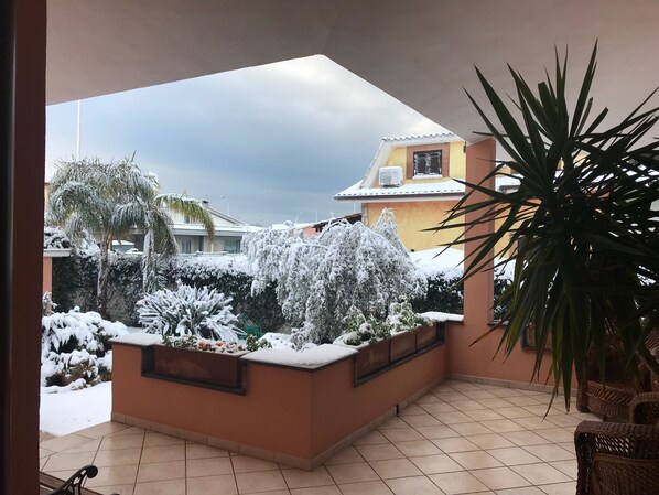 A balcony with snow-covered plants and a view of a yellow building.