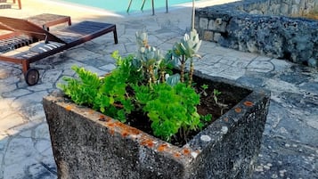 屋外プール