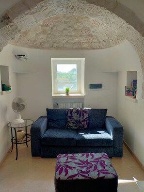 Smart TV, fireplace, DVD player, books