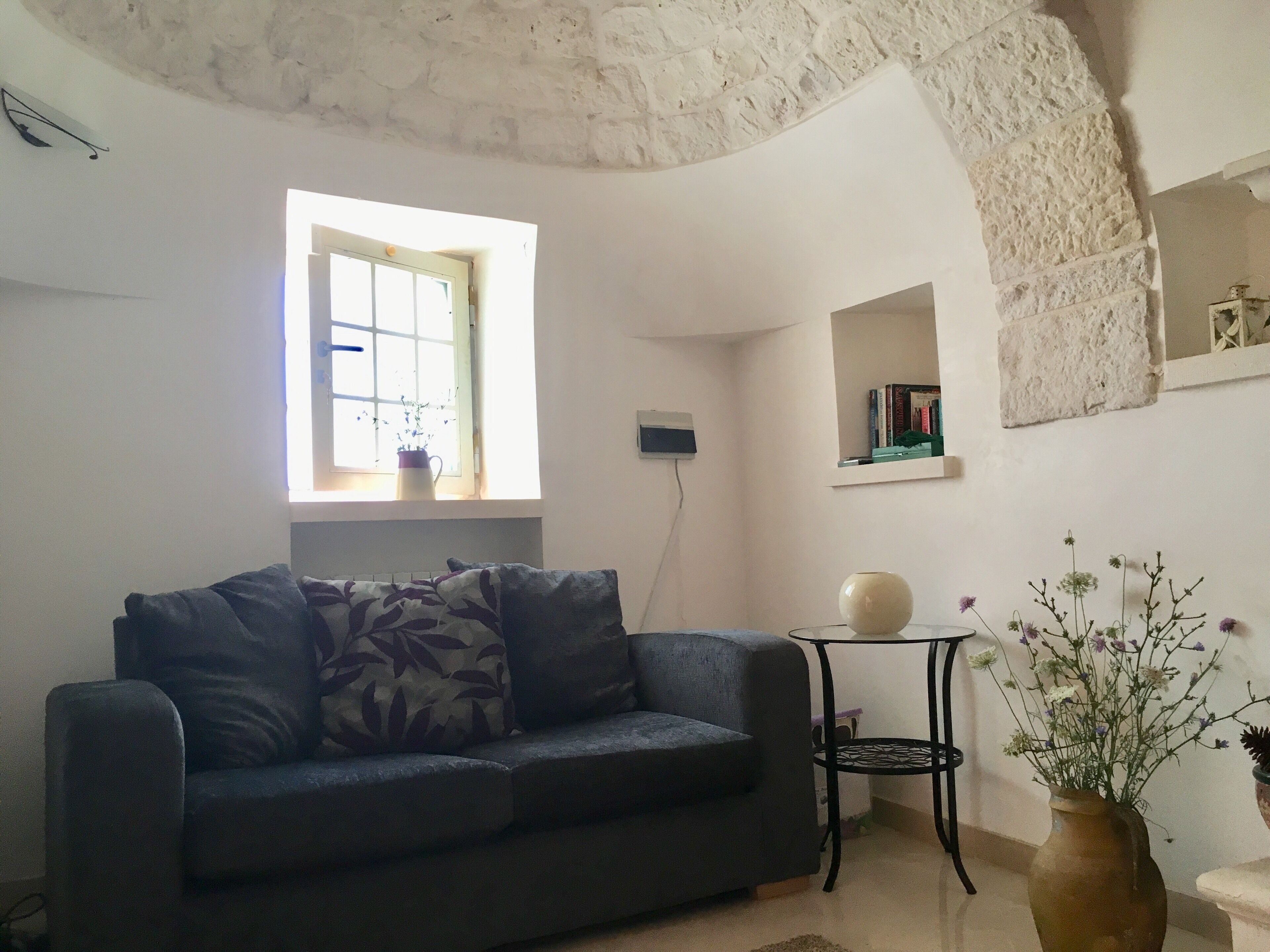 智能電視、壁爐、DVD 播放機、書籍