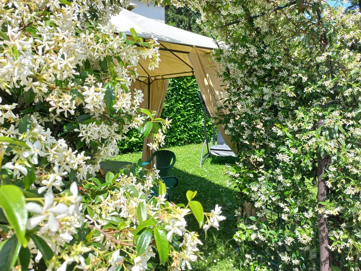 Imagem do perfil do anfitrião