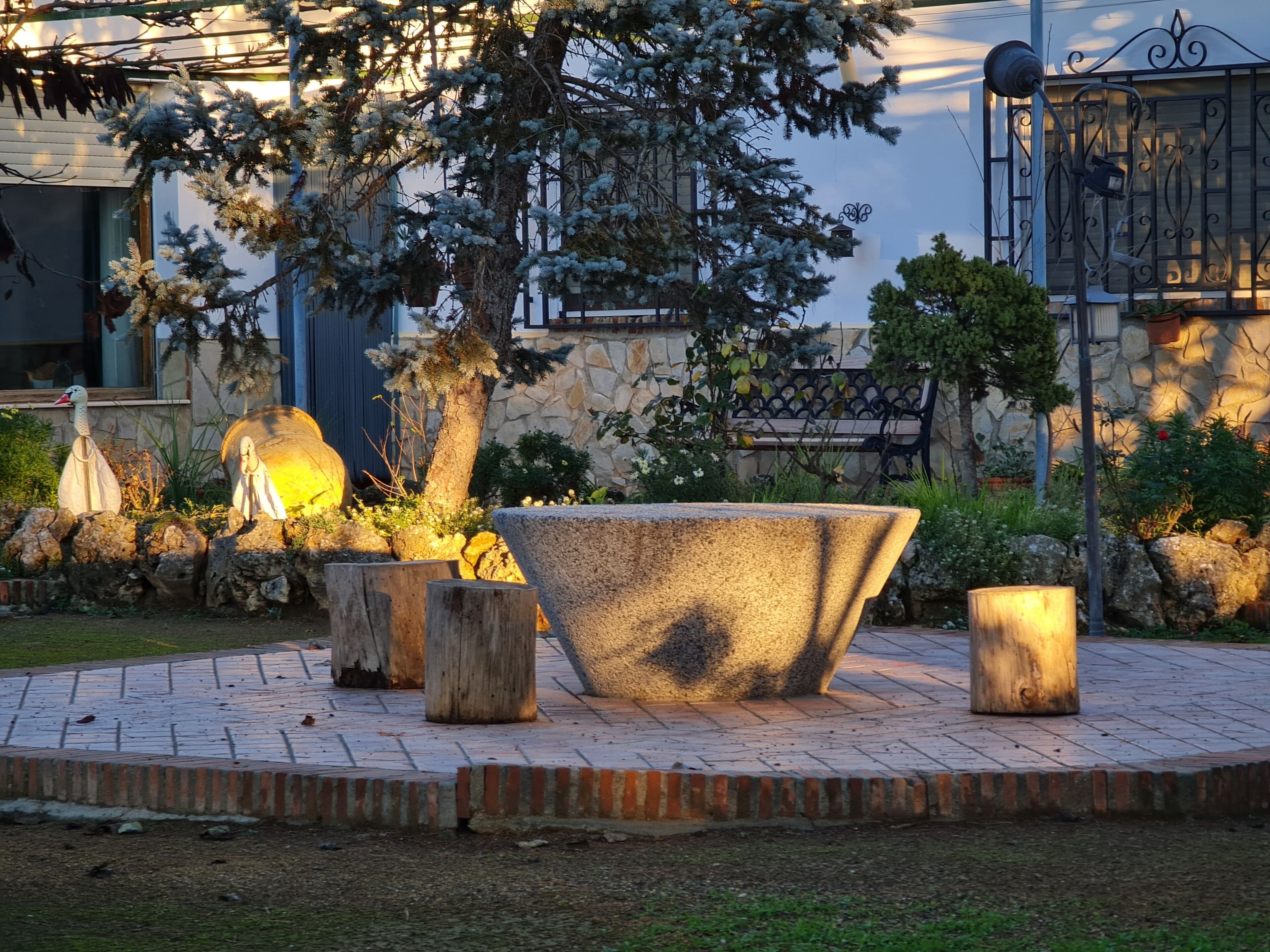 Parco della struttura