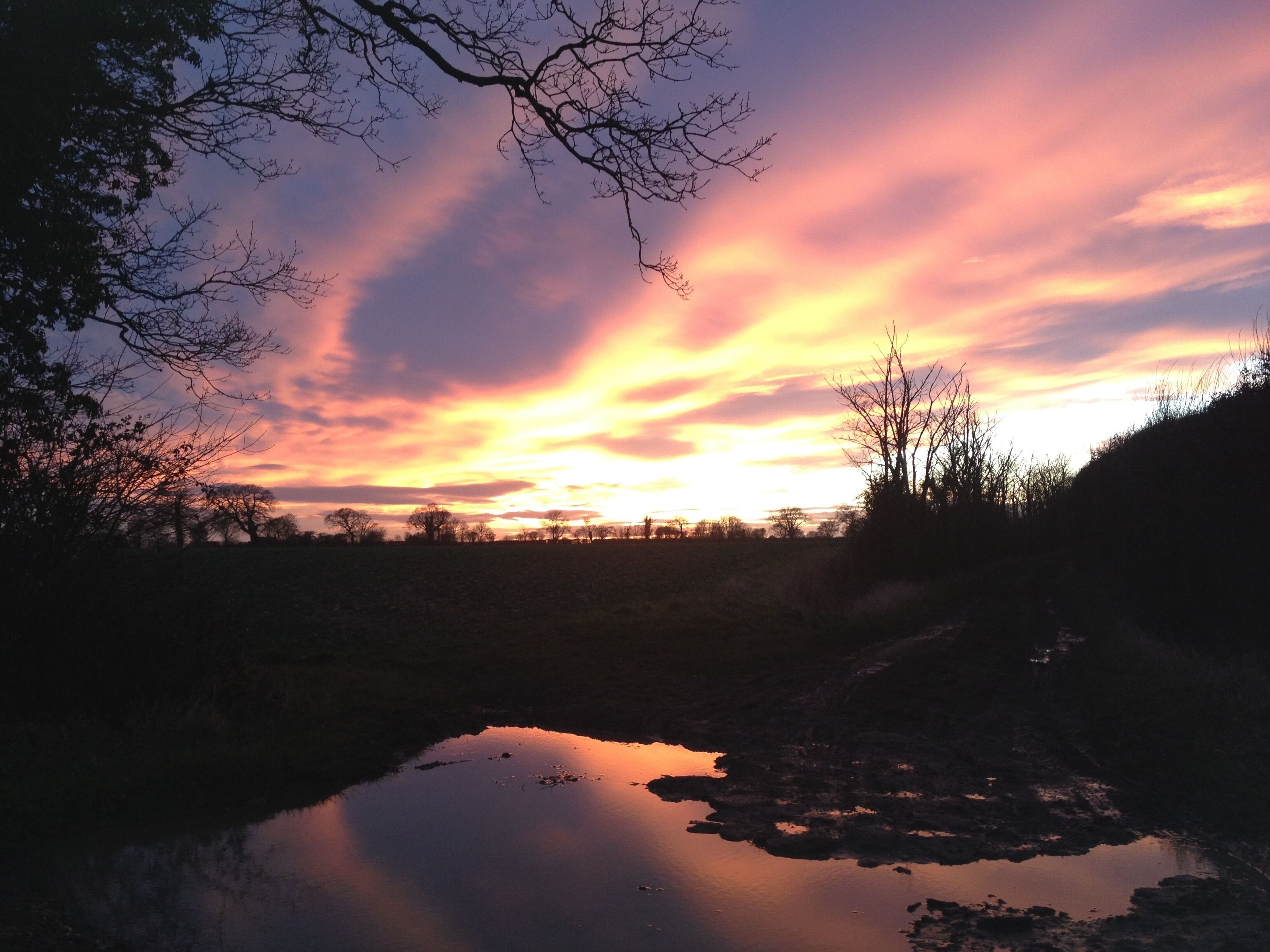 Un coucher de soleil sur une étendue d’eau, avec des silhouettes d’arbres et une colline au premier plan.