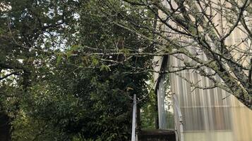 Enceinte de lâhĂ©bergement