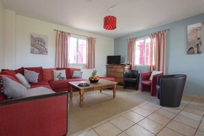 TV connectée, cheminée, lecteur de DVD, livres