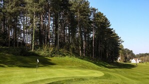 A golf course with a flagstick, surrounded by tall trees and a few houses in the background.
