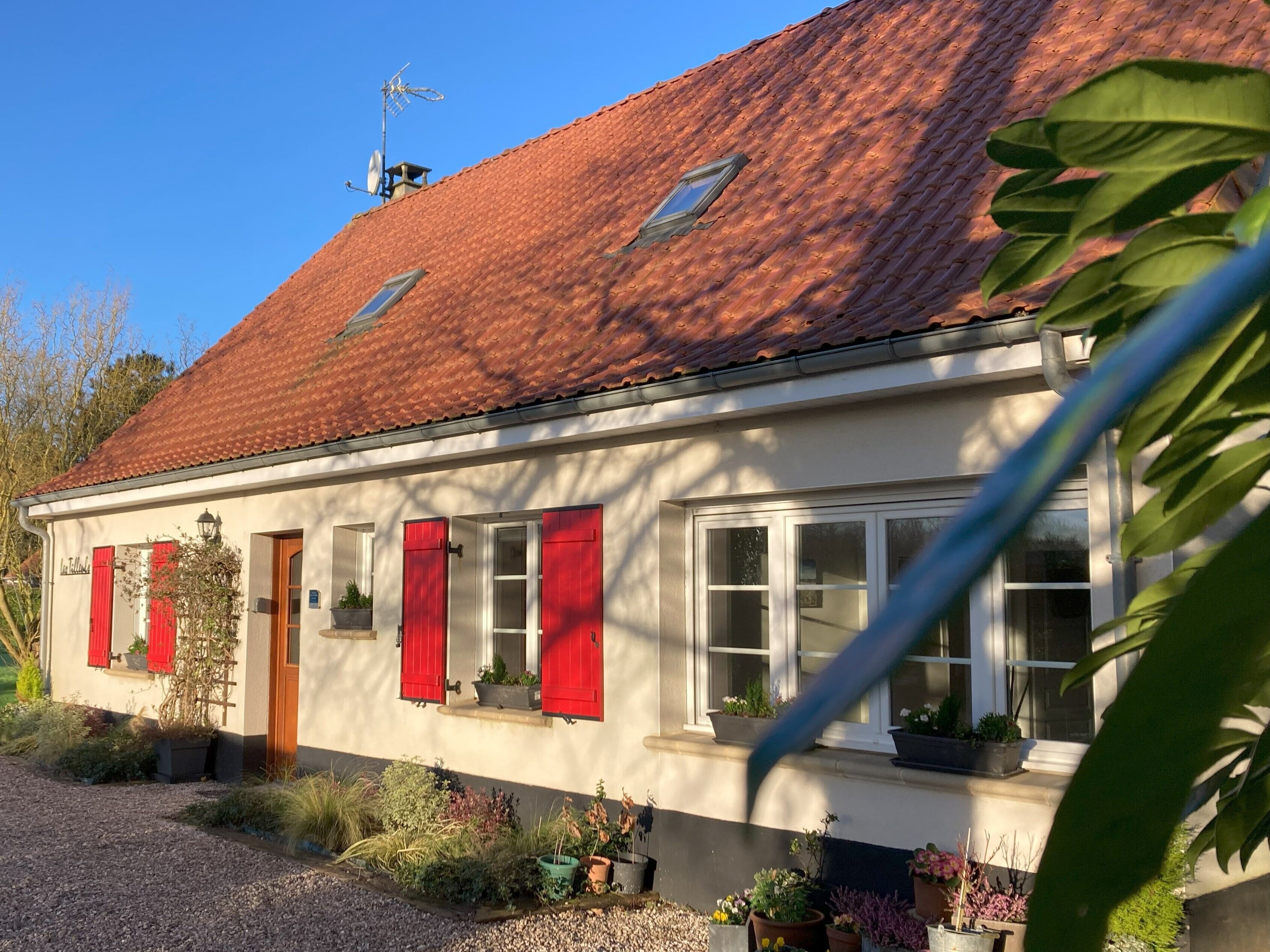 A house with a red-tiled roof, white walls, and red shutters. There are potted plants on the windowsills and a gravel driveway.