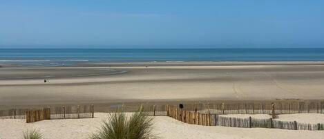 A beach with a wooden fence and sparse vegetation in the foreground.