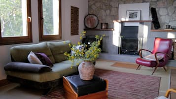 Smart TV, fireplace, books, music library