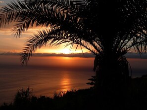 A sunset over a body of water with a silhouette of a palm tree in the foreground. - Luxury villa by the sea with private pool, terrace and sea view (Calheta)