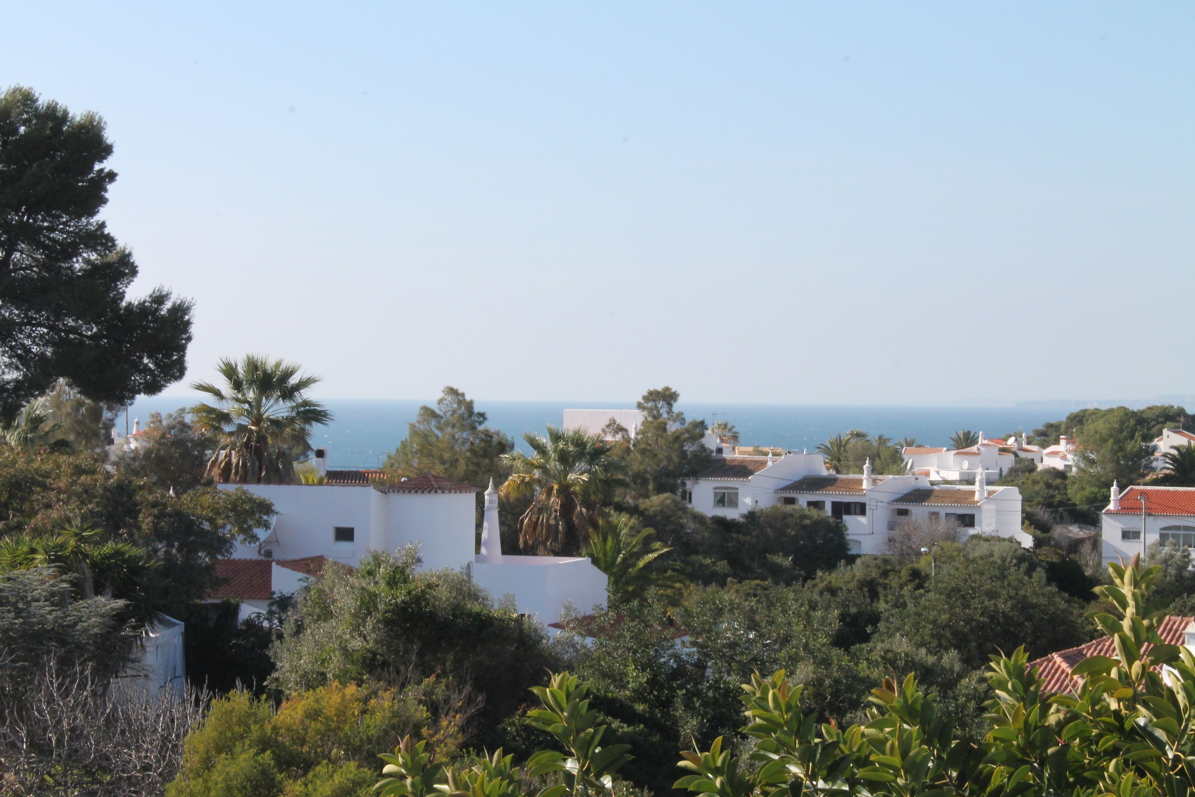 A coastal village with white buildings, palm trees, and a view of the sea.