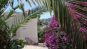 A building with a white facade, a palm tree, and purple bougainvillea flowers.