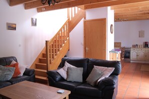 Télévision, cheminée, lecteur de DVD, livres