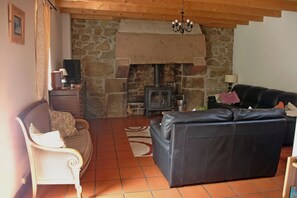 Fernseher, Kamin, DVD-Player, Bücher