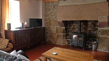 Fernseher, Kamin, DVD-Player, Bücher