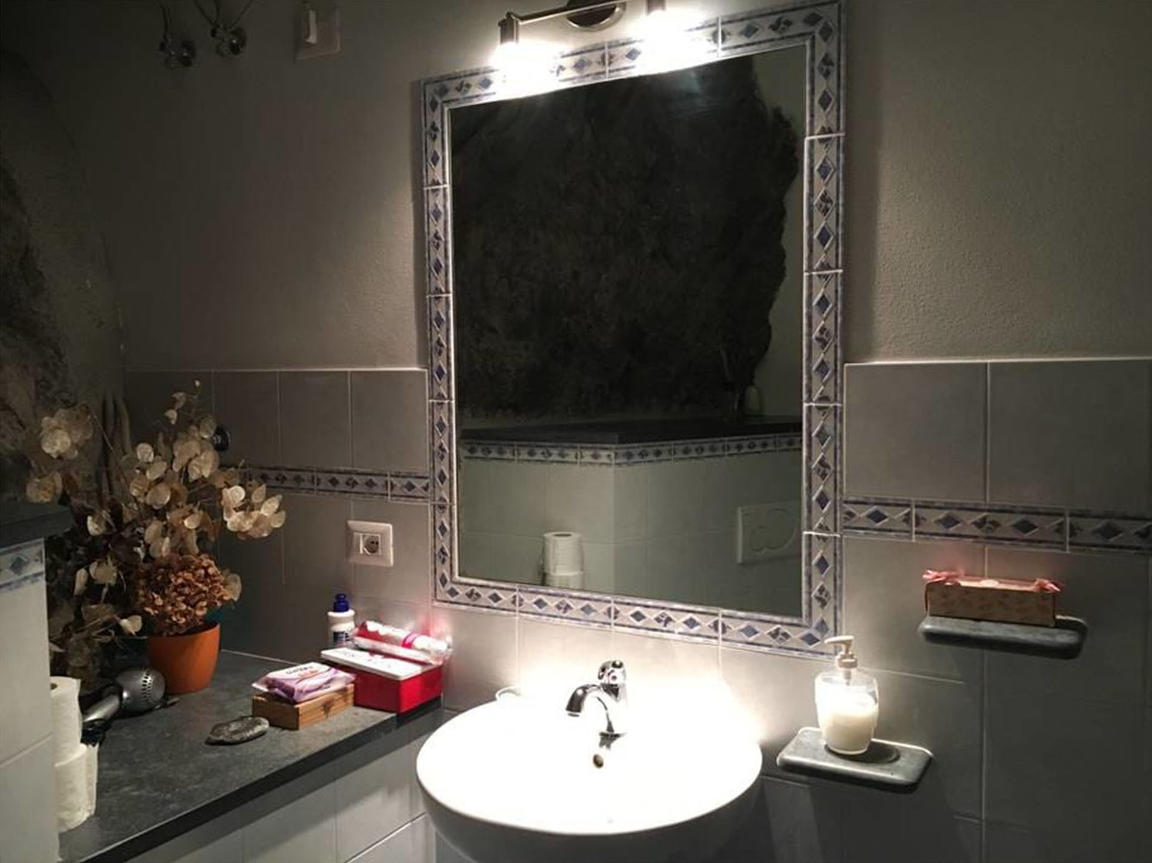 Shower, hair dryer, bathrobes, bidet