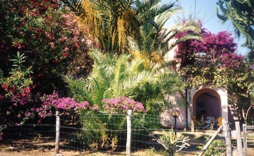 garden apartment with sea view