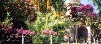 garden apartment with sea view