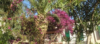 garden apartment with sea view