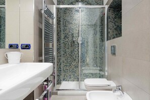Shower, hair dryer, bidet, towels
