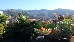 Un jardin sur le toit, agrémenté de diverses plantes et offrant une vue sur les montagnes lointaines.