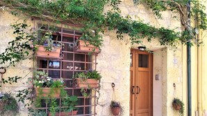 Un bâtiment en pierre avec une porte en bois, une fenêtre avec des barreaux en métal et des plantes en pot.
