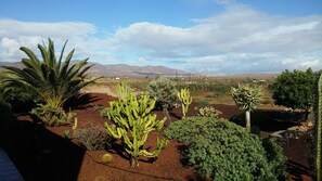 Property grounds - Casa Nico: your sustainable home with porch, garden and sunsets in Fuerteventura. (Antigua)