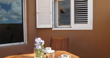 Nico House. House with wifi between gardens and olive trees.