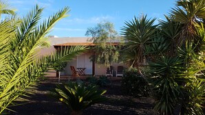 Ein Haus mit Terrasse, umgeben von Palmen und einem Garten.