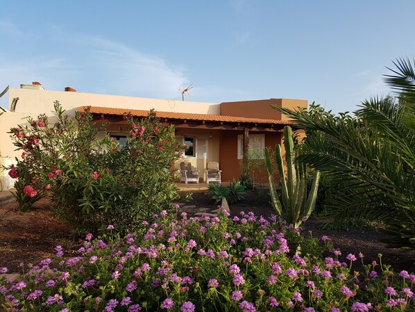 Ein Haus mit Terrasse, einem Stuhl und einem Kaktus.