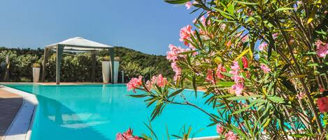 Outdoor pool, an infinity pool