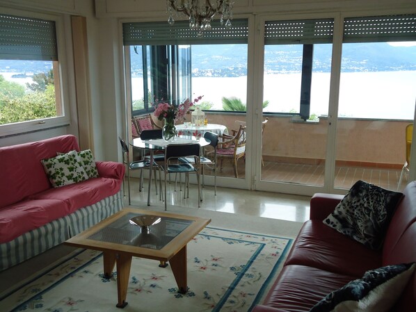 LED TV, fireplace, DVD player, books