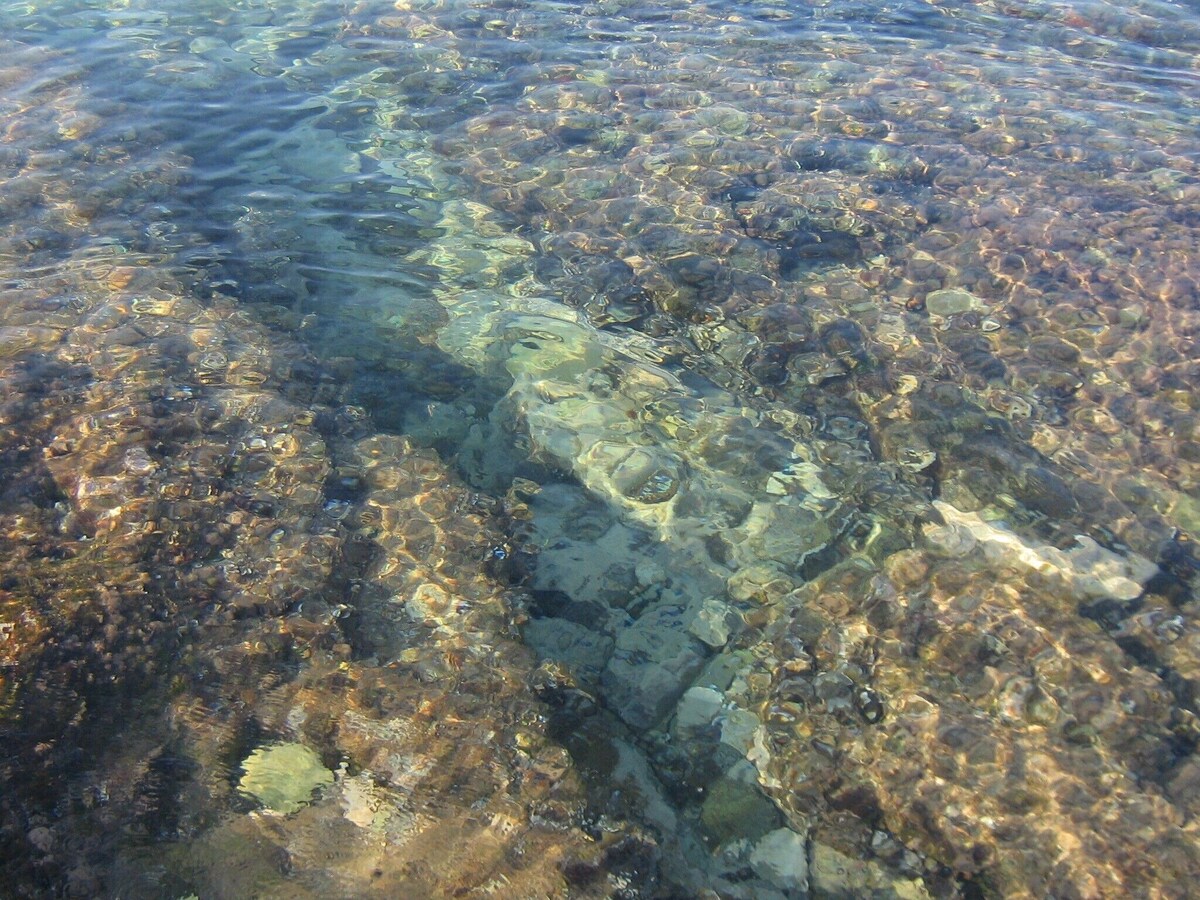 Imagen de perfil del propietario o de la propietaria