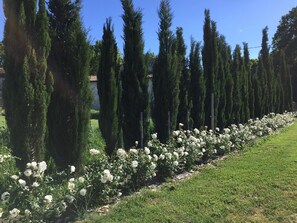 Áreas de la propiedad